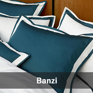 Banzi