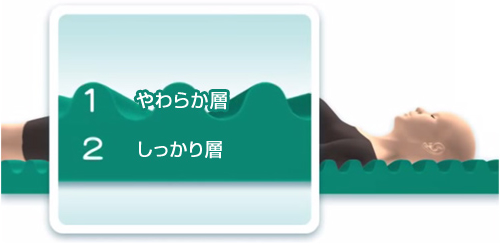 cellpur(セルプール)