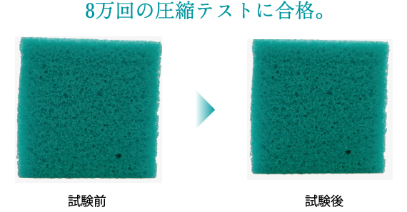 cellpur(セルプール)
