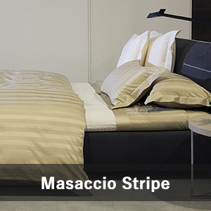 Masaccio Stripe