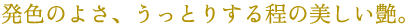 発色の良さと美しい艶