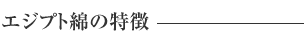 エジプト綿の特徴