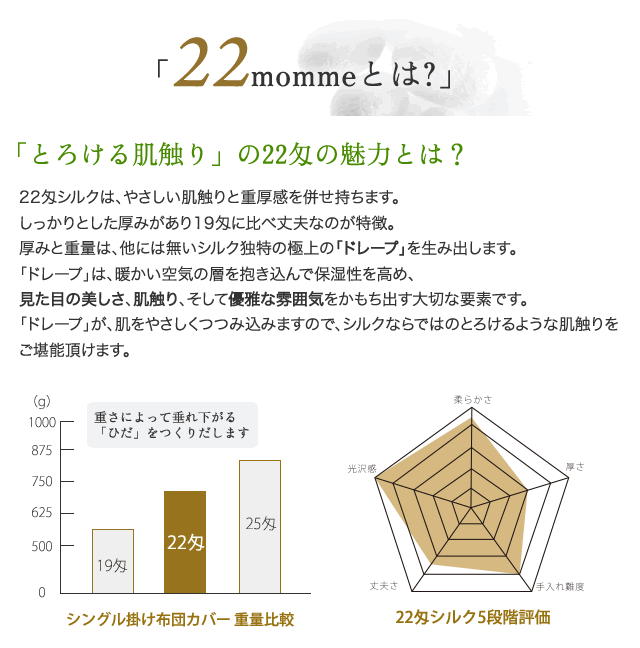 22Mとは