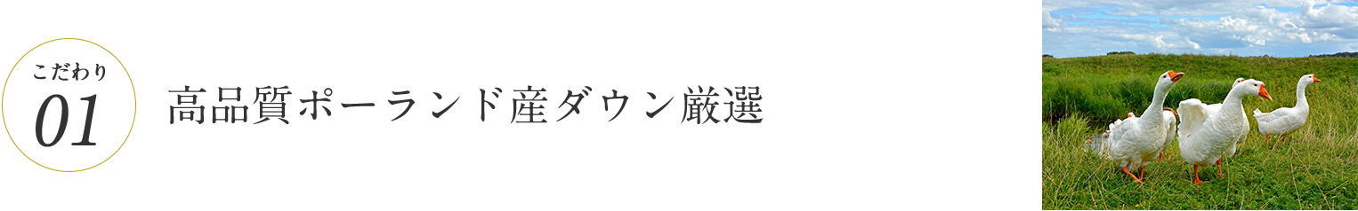 高品質ポーランド産ダウン厳選