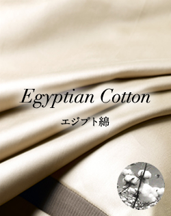 エジプト綿